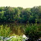 Lake Placid, Paris Mtn. State Park, Greenville, SC