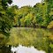 Little Alabama Bayou