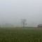 Warren County Tennessee