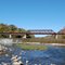 Barren Fork River Dam & Old Railroad Bridge