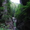 Gorges de la Jogne