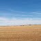 Field Irrigation