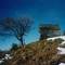 La fine dell'inverno