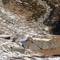 Dettaglio della "Corte di cima"