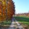 Langenägete