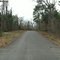 Shirey Lane_04