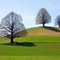 mb - 08.04.11 - Im April: 3 Linden - lime trees