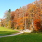 mb - 08.Nov. late autumn - Spätherbst