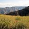 Photo of the Day, January 7, 2011.  Hells Canyon. Near Hat Point.  Hells Canyon National Recreation Area, Oregon.  August 20, 2011.