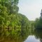 Mattaponi River - Aylett, King William County, VA.