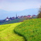 mb - 20.04.09 - First Cut in Spring - Erster Schnitt im Frühling