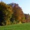 Indian Summer in Fischbach