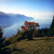 Sonchaux et Léman