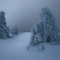 winter on the grenchenberg  [www.jochendysli.ch]