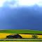Gewitterwolken im Neeracherried  (© Pipo63)