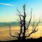 Vue brumeuse sur les Alpes