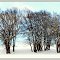 HDR Hivernal