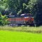 BNSF Railway