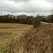 Horse Pasture