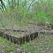 Old Foundation