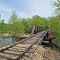 Bridge Over Buffalo Slough