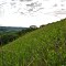 Five-Mile Bluff Prairie State Natural Area