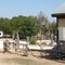 Armadillo Farm Campground, Luckenbach TX, 2011-09-02