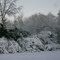 Snow on the Bamboo