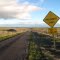 The ending of the pavement on Meiss Road