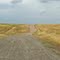 Country Road...20 iles from Calif capitol