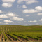 Winyards, Hwy 104 California, US