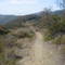 single track trail (Backbone SM mt.)