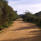 The Winding Road