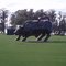 "Charging Bull" at Islesworth County Club