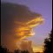 Face in the Cloud-Florida