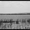 Lake Okeechobee