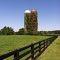 Twin Silos - Vine Covered