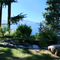 A calm and shady spot to enjoy long views of the lake