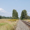 seegle, id by Chris Yoder