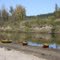 Pack River