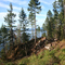Tree-lined shore of Lake Pend Oreille.