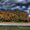 Fall Colors on the Road