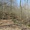 ACRES Pehkokia Woods Preserve