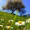 a rest in the grass_by Dagmar Skvaridlova ©