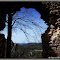 hrad Hričov / the ruins of the castle Hriczou ( 1265 castrum Hrichou) by Dagmar Skvaridlova ©