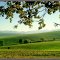 autumnal beauties of Slovakia nature_by Dagmar Skvaridlova ©