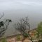 Elk Neck Bluffs