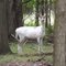 piebold deer in perryville park