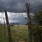 Storm near Mountainair NM