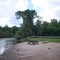 Manistee sandbar island